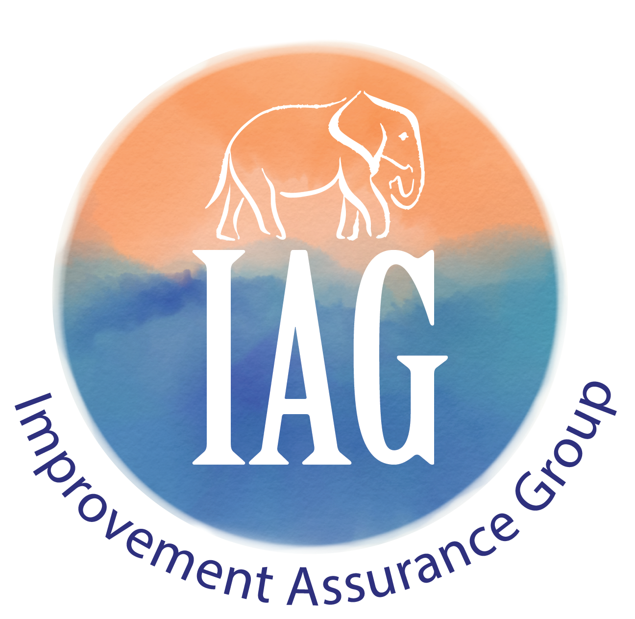 Improvement Assurance Group